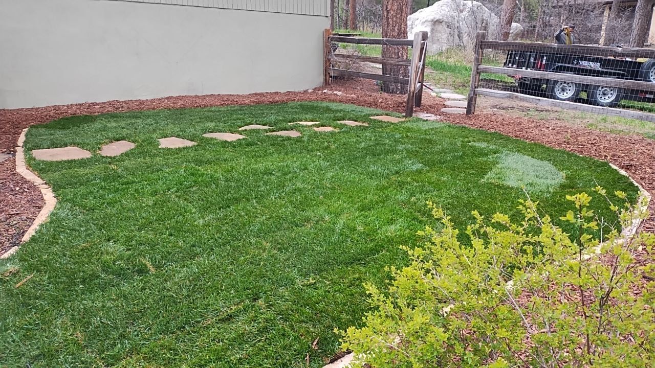 A lush green lawn with a fence in the background