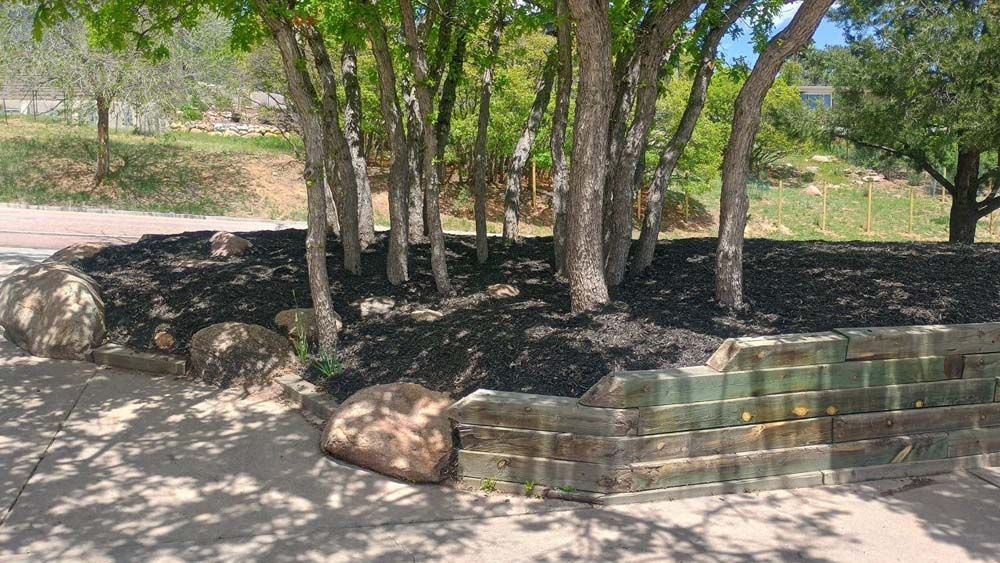 Group of trees surrounded by a low brick wall, mulch, and large boulders.