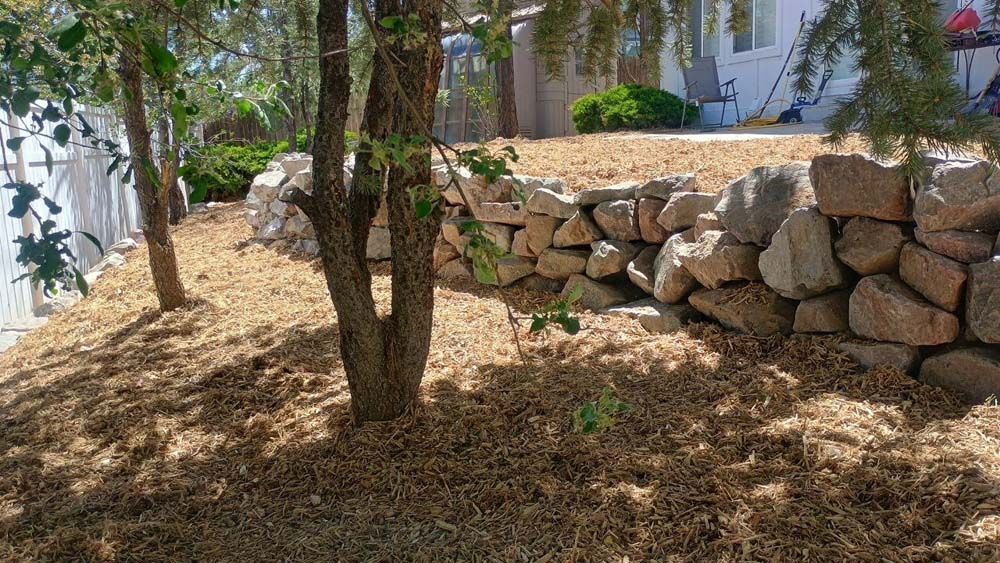 Stone retaining wall with trees and mulch in a yard.