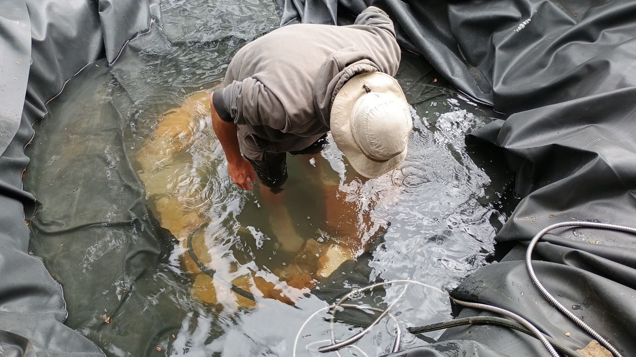 A man is kneeling in a puddle of water