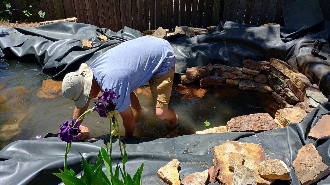 A man is working on a pond with purple flowers in the foreground