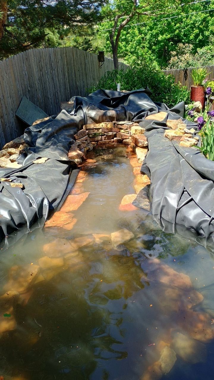 A small pond filled with water and rocks in a garden.