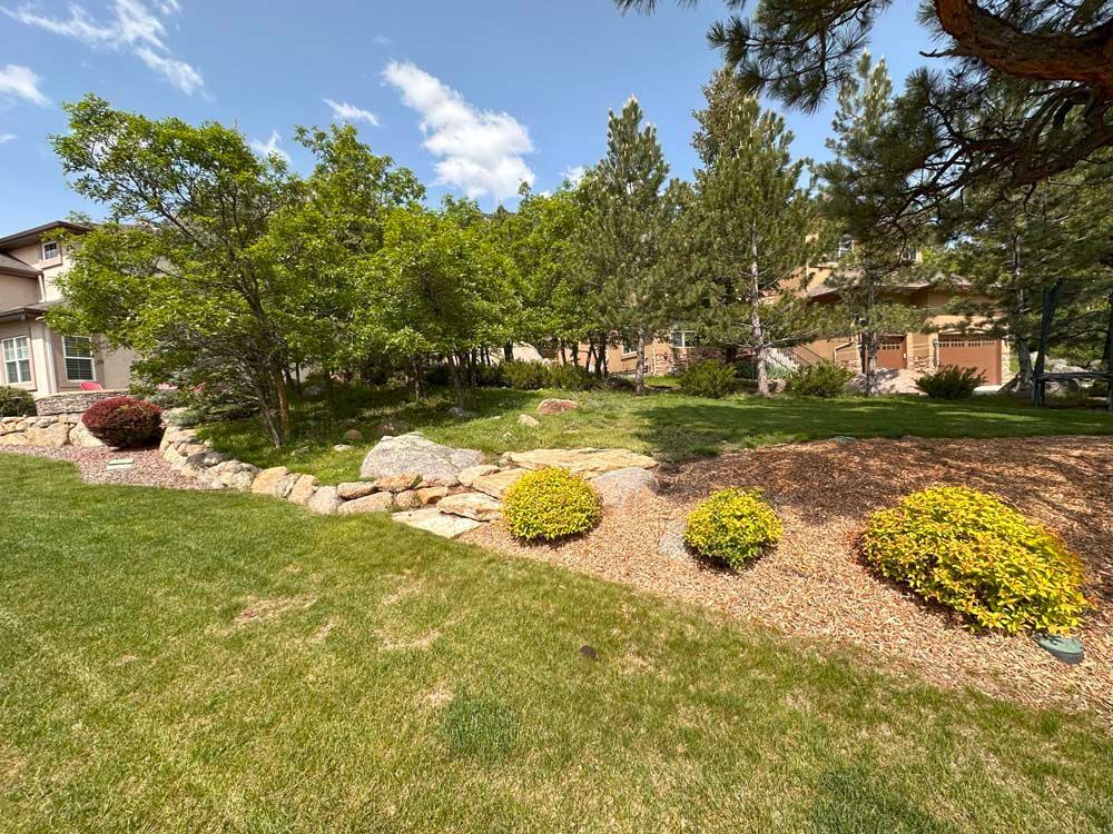 Lush green lawn with a rock garden and colorful bushes, leading to a house under a blue sky.
