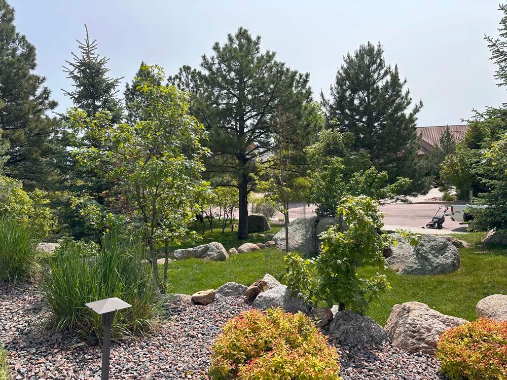 Lush green yard with trees, rocks, and grass. Sunny day with a residential street visible in the background.