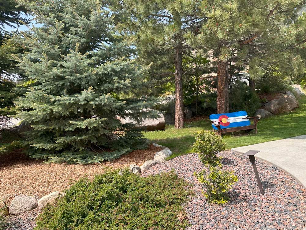 A bench with the Colorado flag painted on it, nestled in a yard with trees and landscaping.