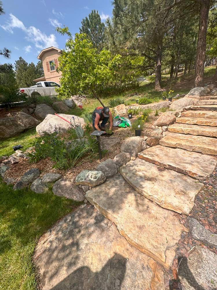 Person gardening on a stone hillside next to steps, surrounded by rocks and trees on a sunny day.