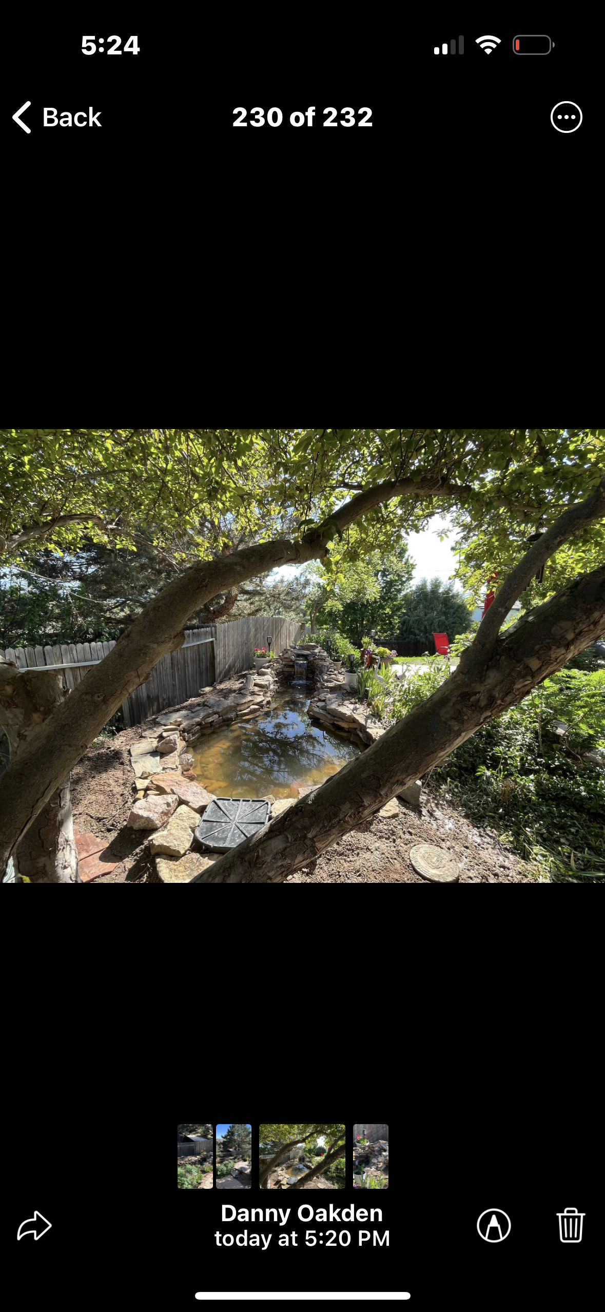 A phone screen shows a picture of a tree and a pond.
