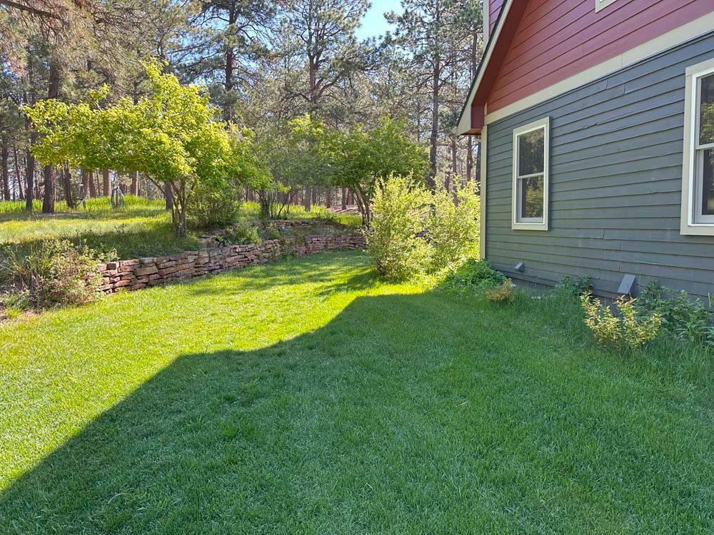 Lush green yard with a house and trees. The house is red-trimmed and has green siding.