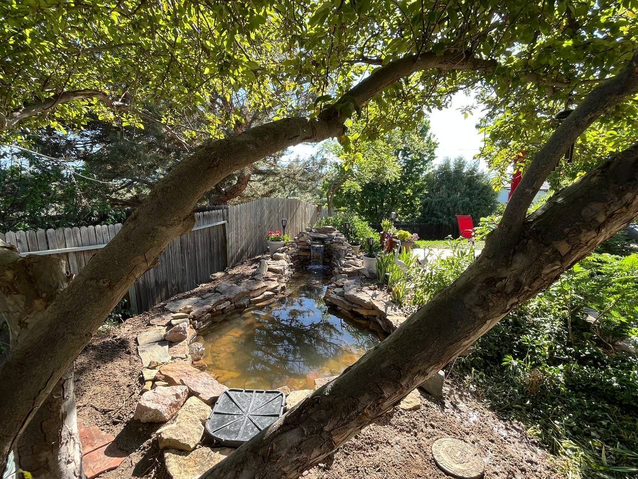 A small pond is surrounded by trees in a backyard.