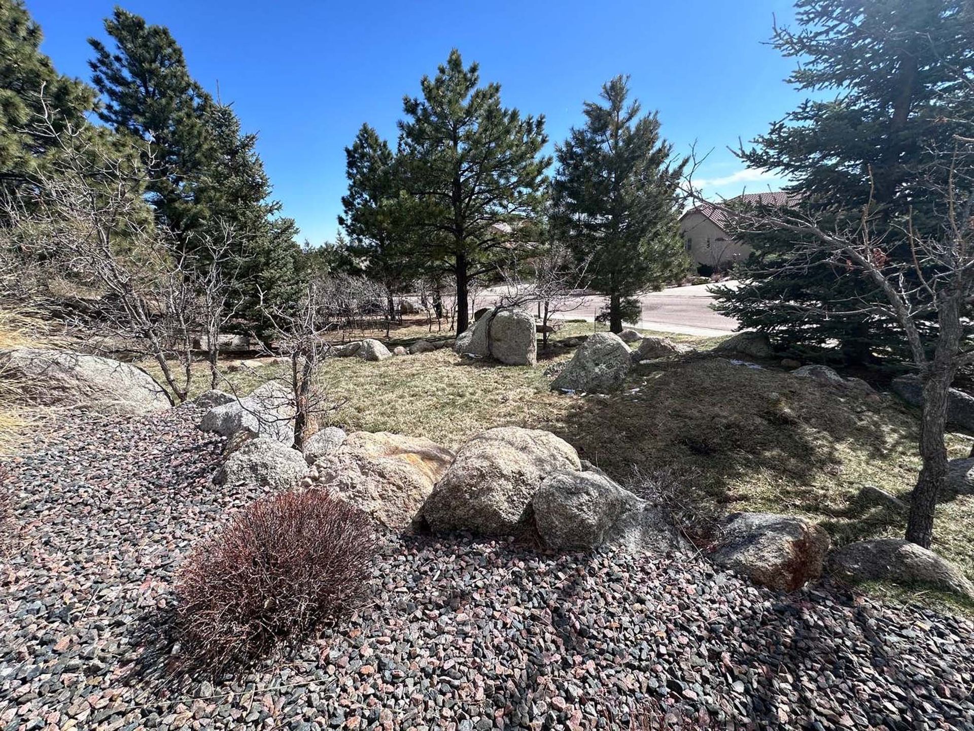Rocky landscape with evergreens, blue sky.