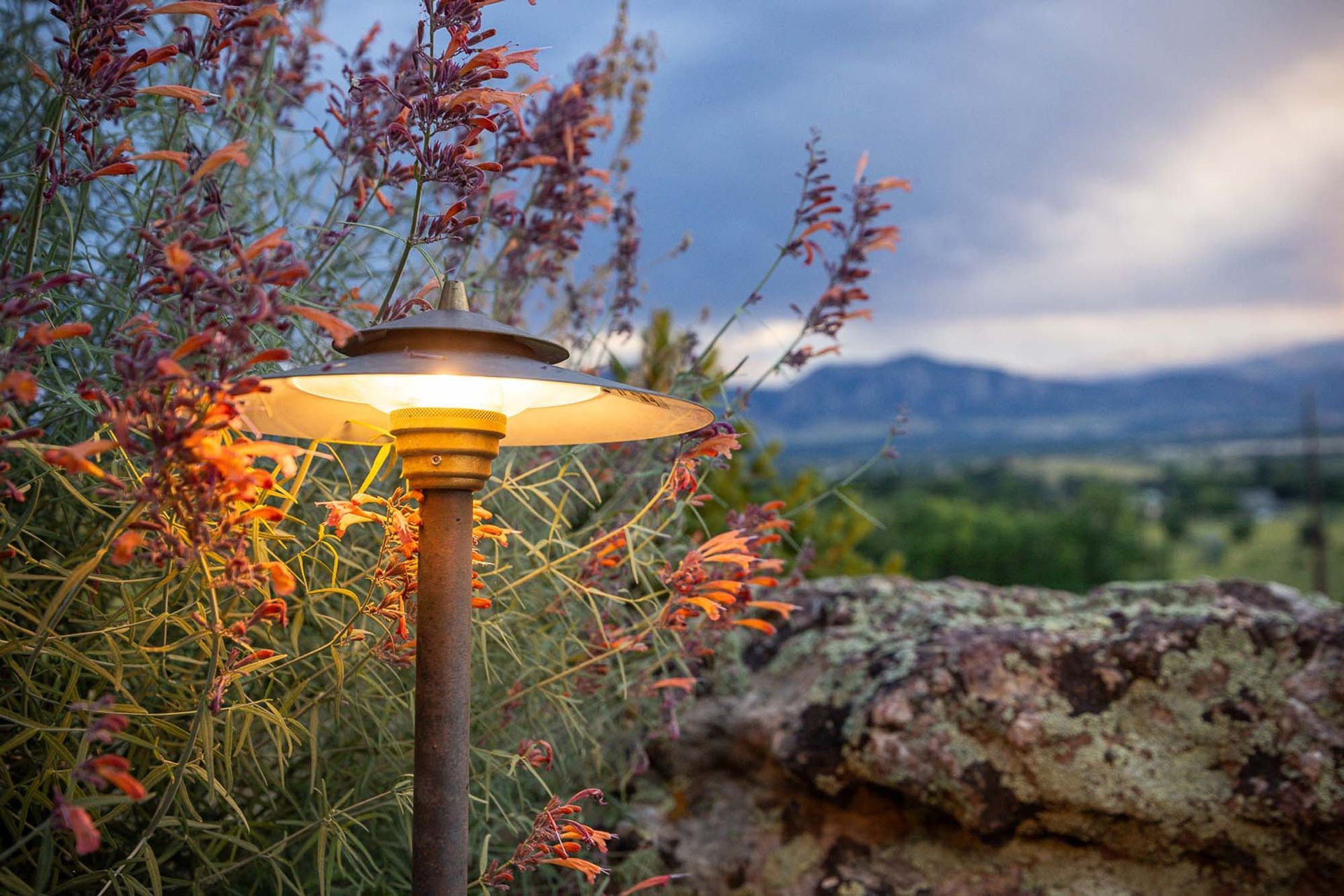 Landscape light illuminates a bush with red flowers, a rocky edge, and a blurred mountain backdrop.