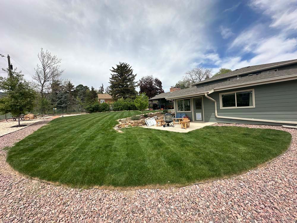Green lawn in a backyard, edged by gravel. House with gray siding and window. Overcast sky.