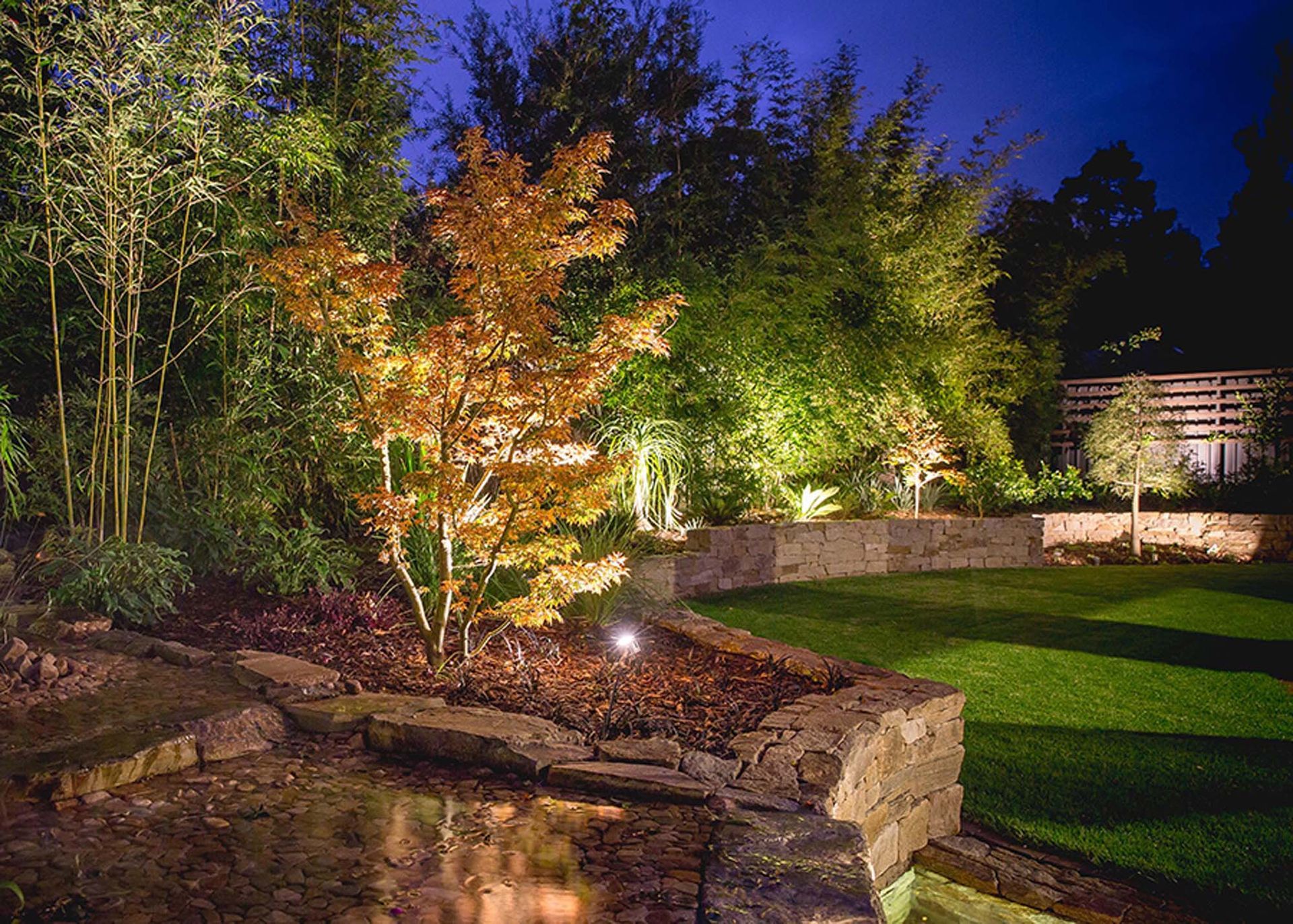 Night-lit garden with a small orange tree and bamboo against a dark sky. A stone retaining wall frames a green lawn.