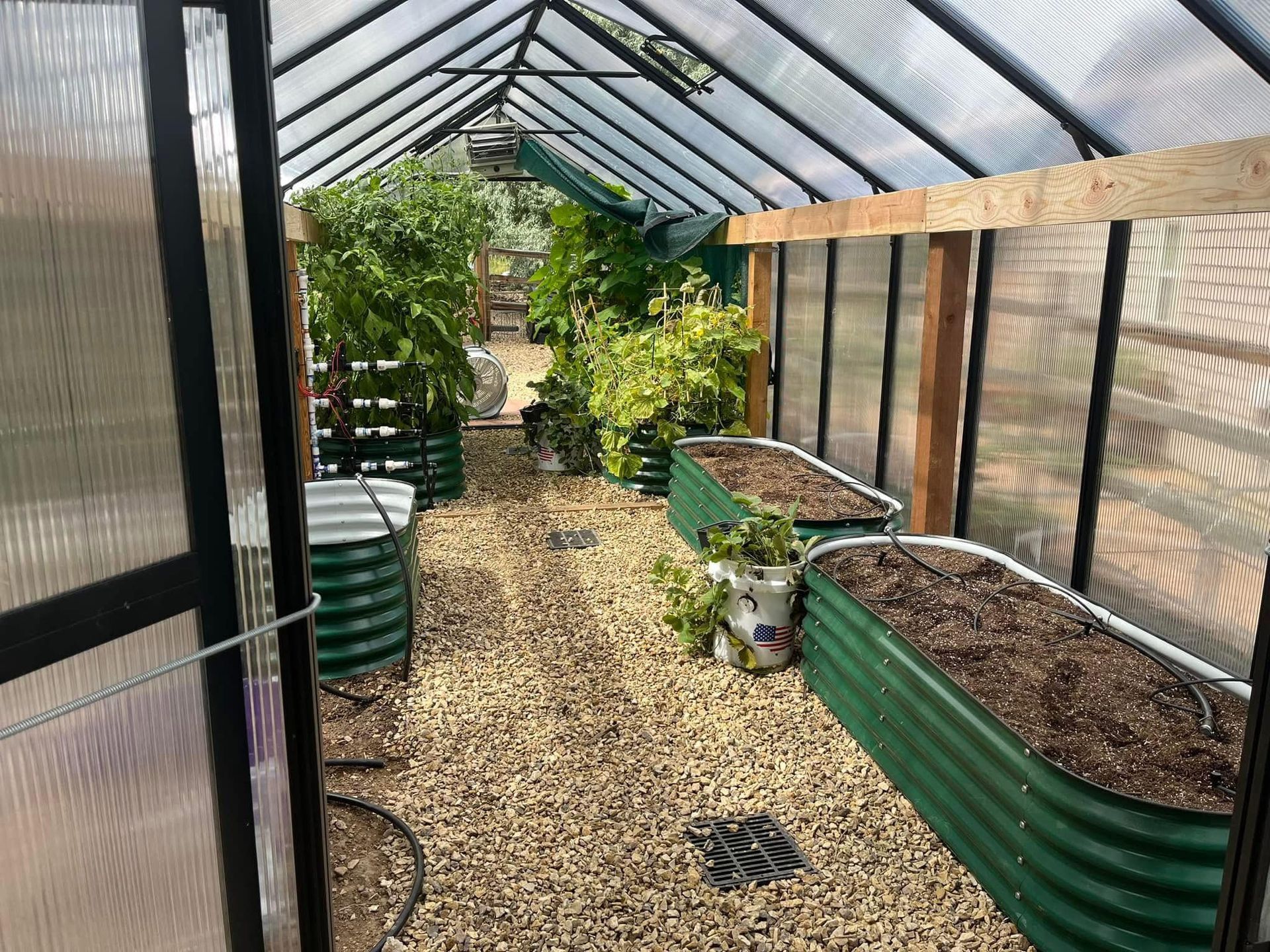 A greenhouse filled with lots of plants and dirt