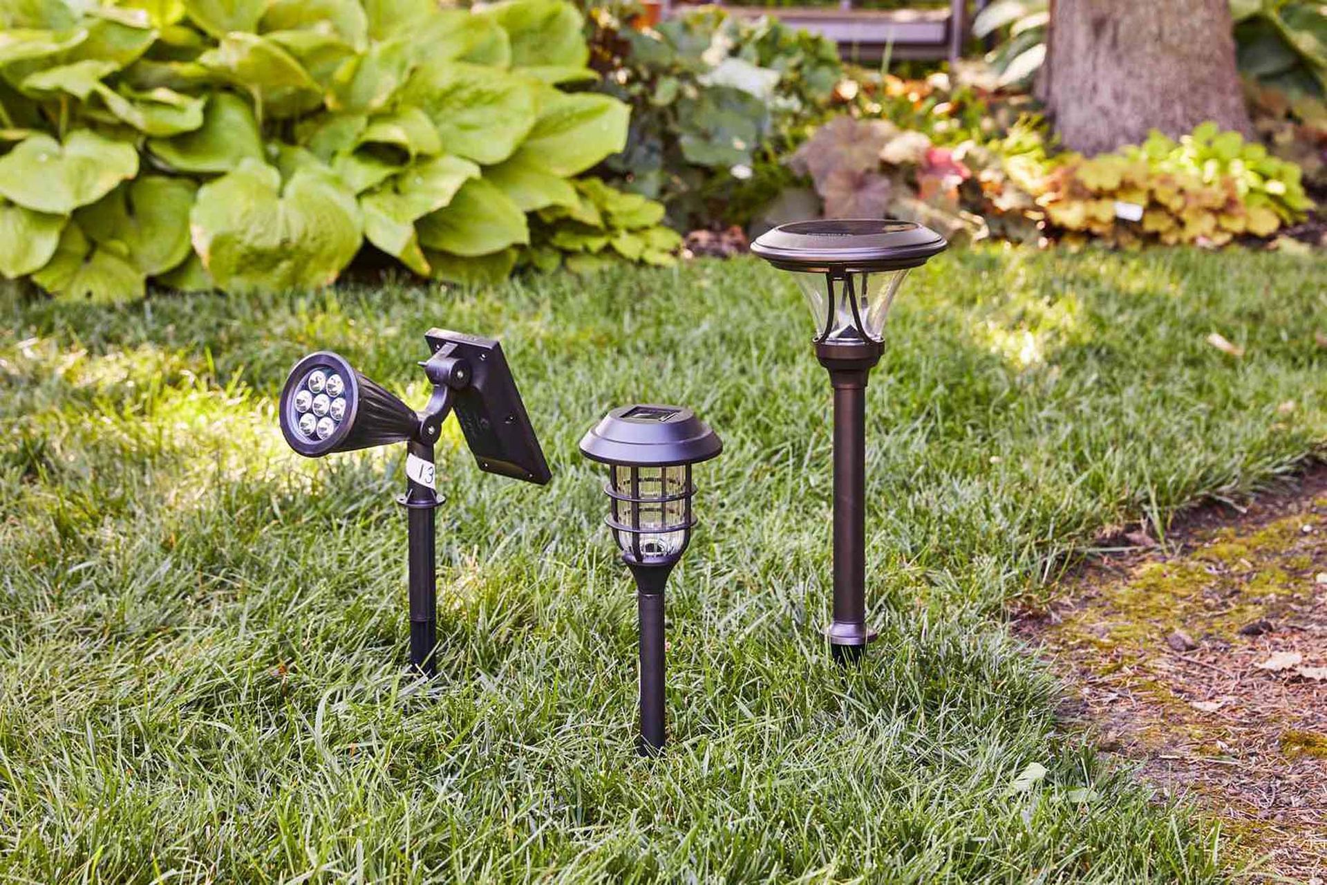 Three black solar-powered garden lights in a grassy yard, with foliage in the background.