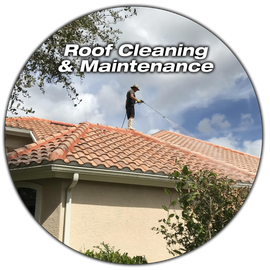 A man is cleaning the roof of a house with the words roof cleaning & maintenance below him