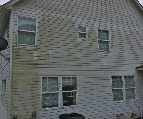 A two-story house with white siding covered in green algae and mold.