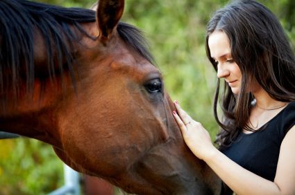 A woman is petting a brown horse's face.