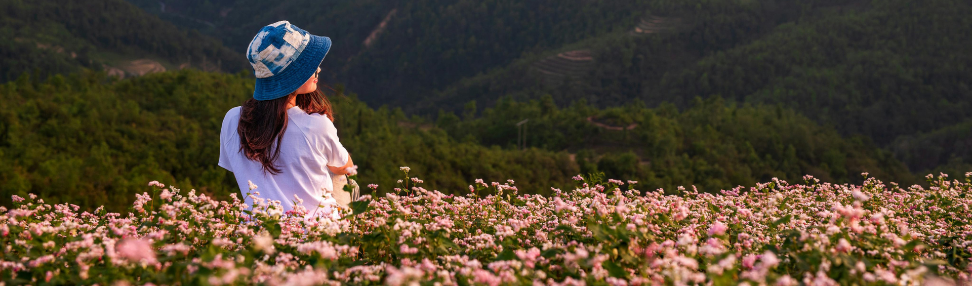 Open, weathered white window with vase of dried flowers; outside view of buildings and sky.
