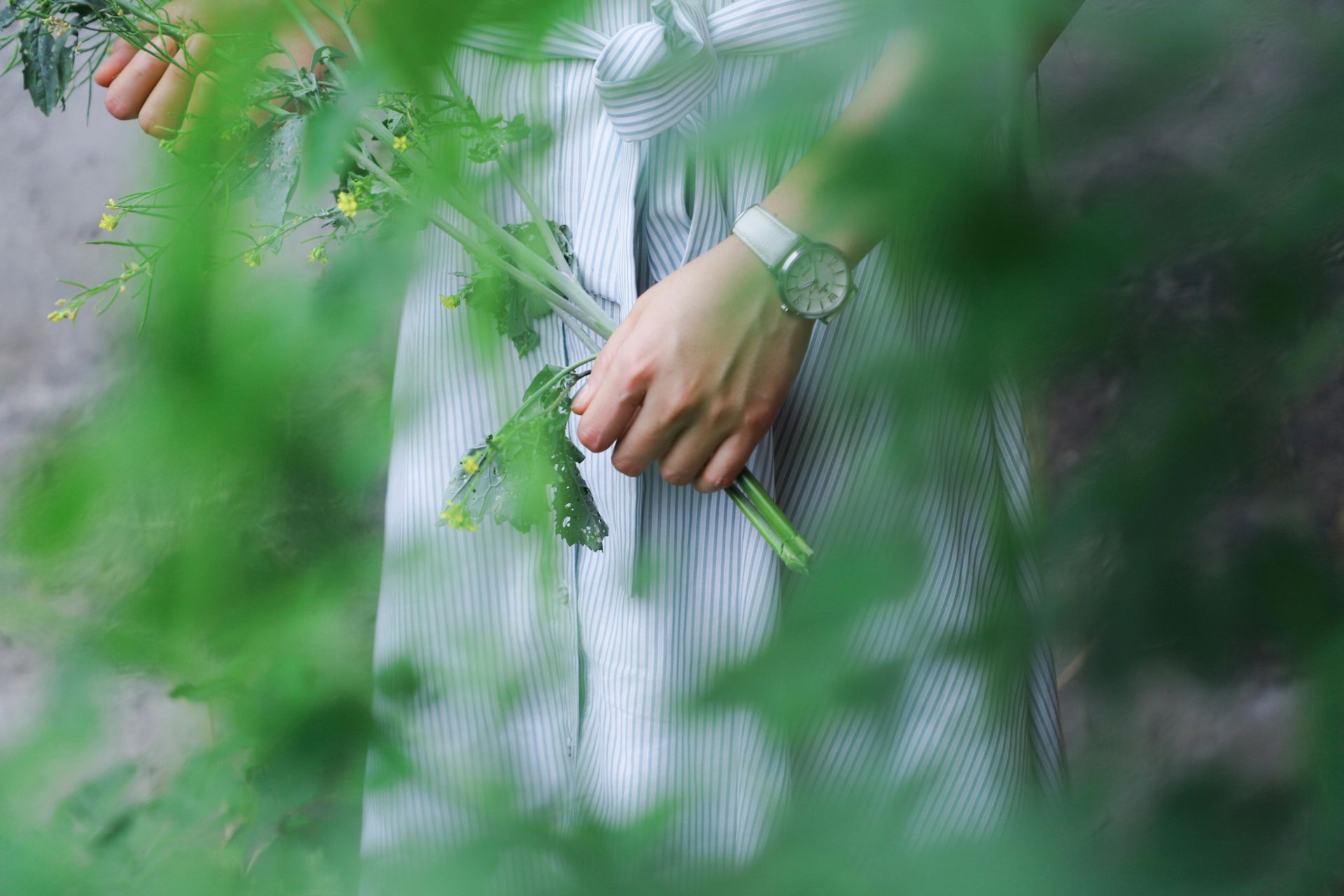 Person holding wildflowers, wearing a watch, viewed through green foliage.