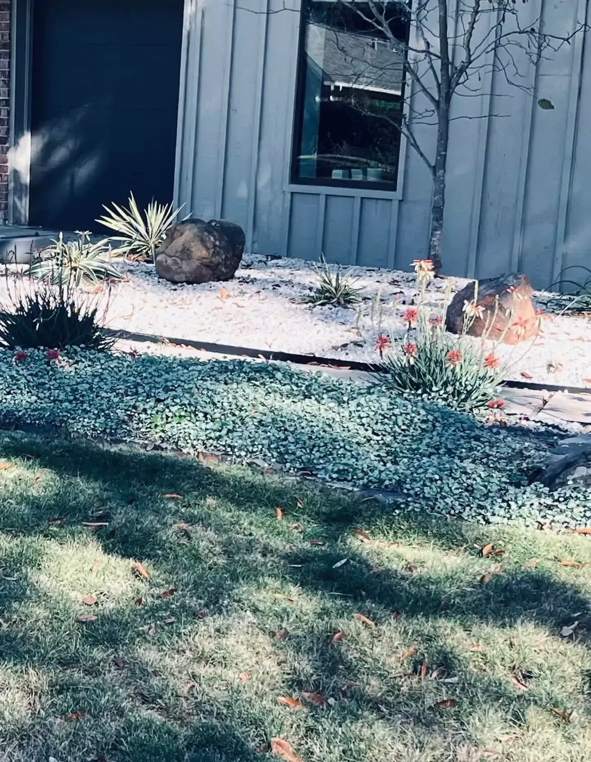 Exterior of a house with light blue siding, a window, rocks, and small plants in a bed with a green lawn in the foreground.