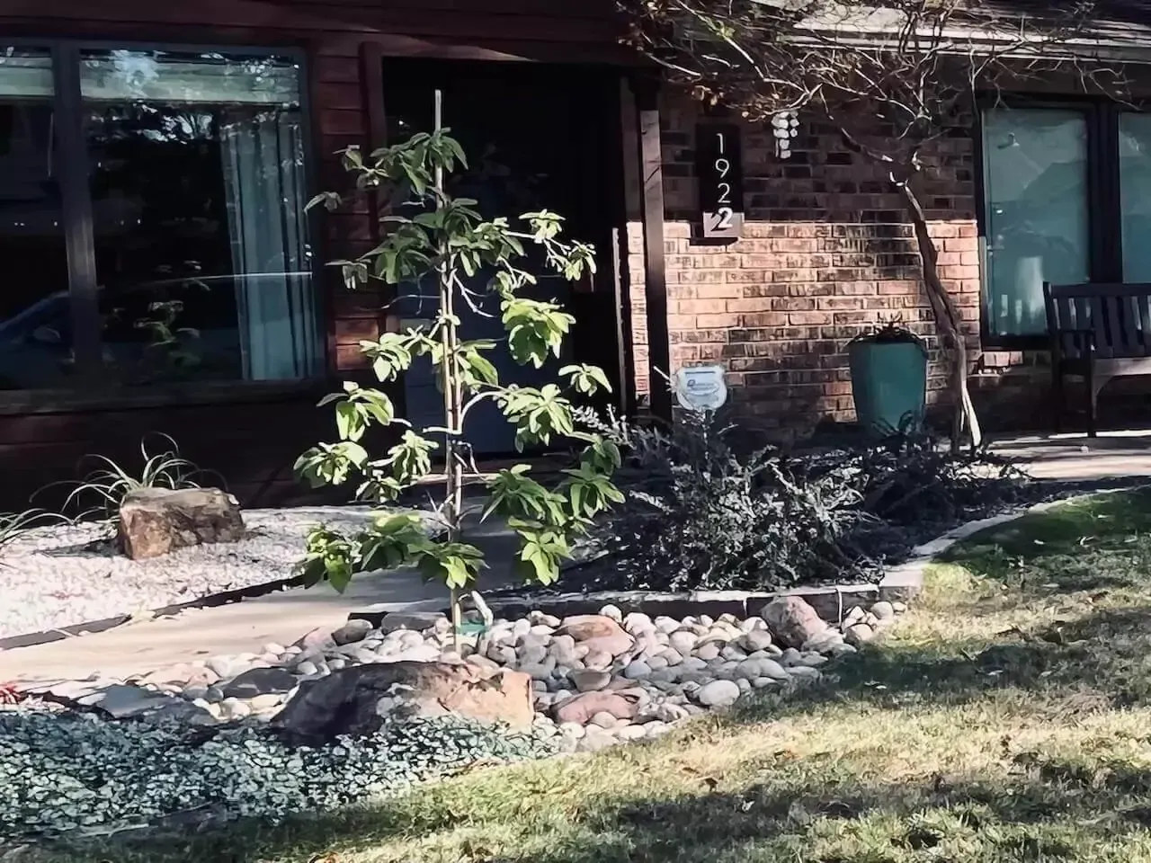 A house with a small tree in front, a stone path, and a brick exterior.