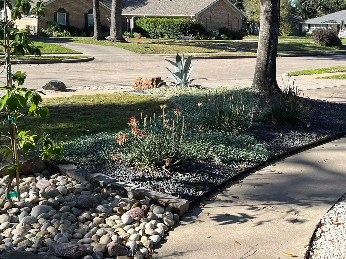 Landscaped front yard with rock and plant beds near a sidewalk and street.