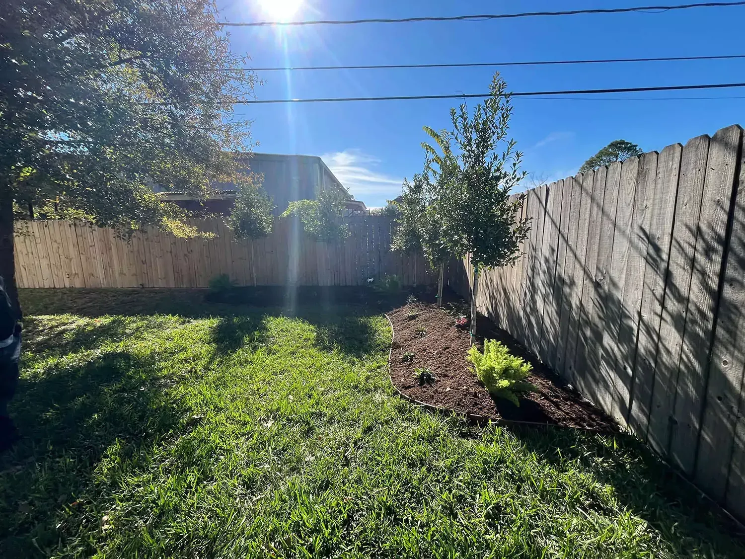 Backyard scene with a wooden fence, grass, trees, and bright sunlight.