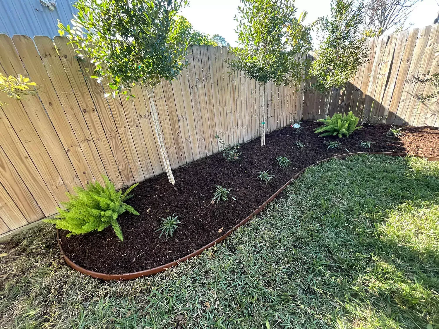 Garden bed with mulch and plants along a wooden fence, bordered by metal edging.