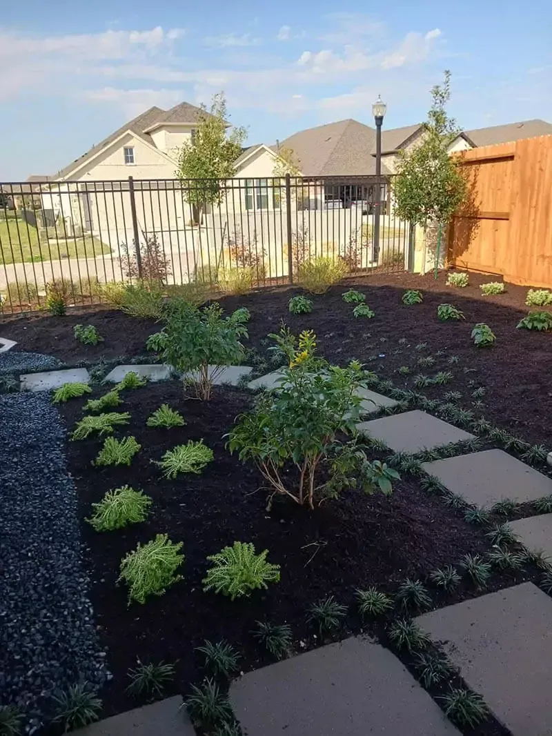 Backyard garden with square stepping stones, dark mulch, and various green plants under a blue sky.