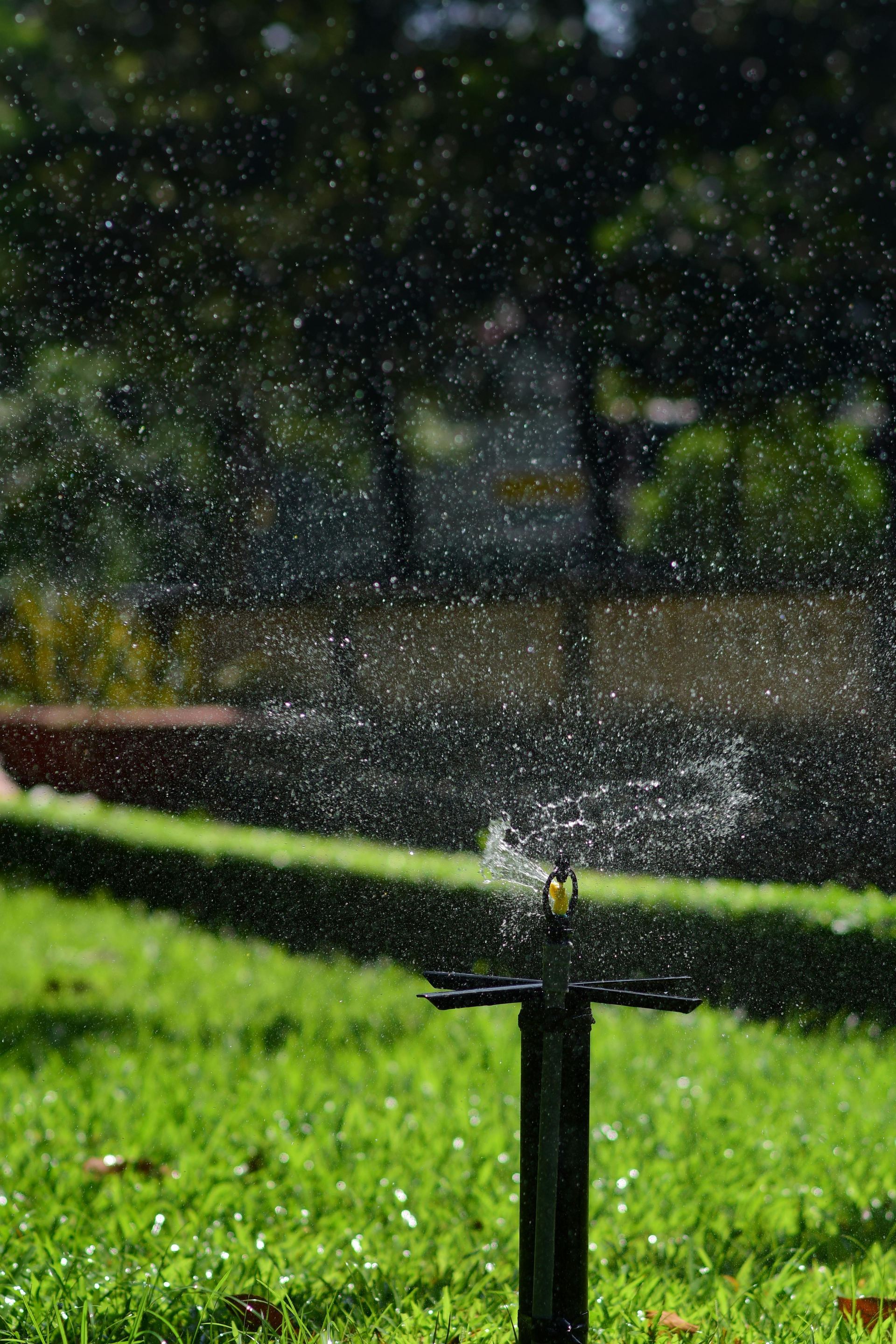 Sprinkler spraying water onto green grass in a park, with blurred background of trees and foliage.