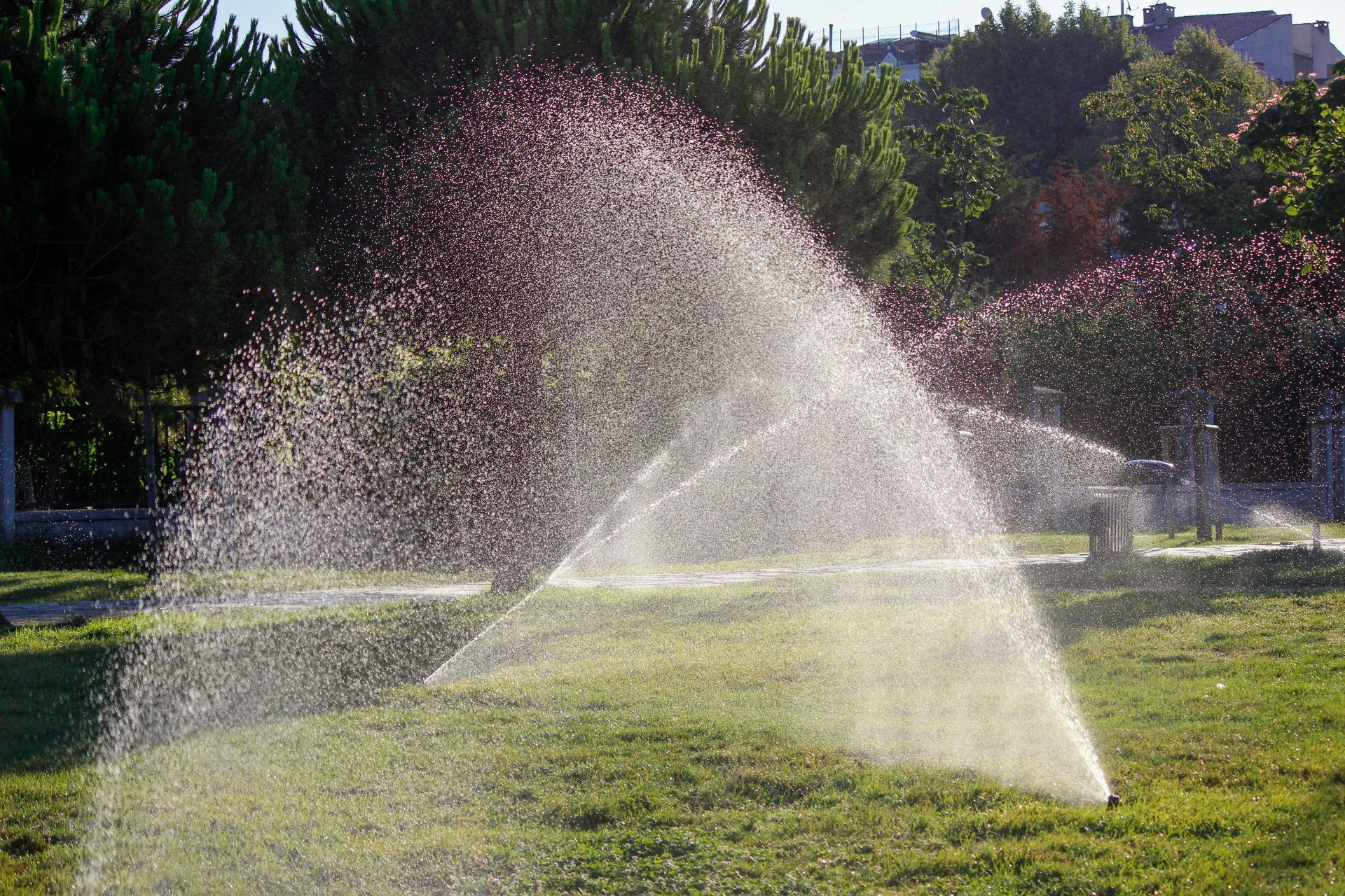 Sprinklers spraying water across a sunny grassy field in a park