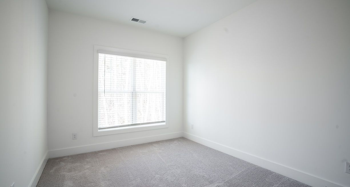 Empty white room with gray carpet and a window with sunlight.