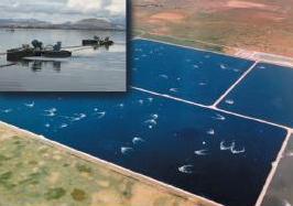 Lagoon Conversion Technologies