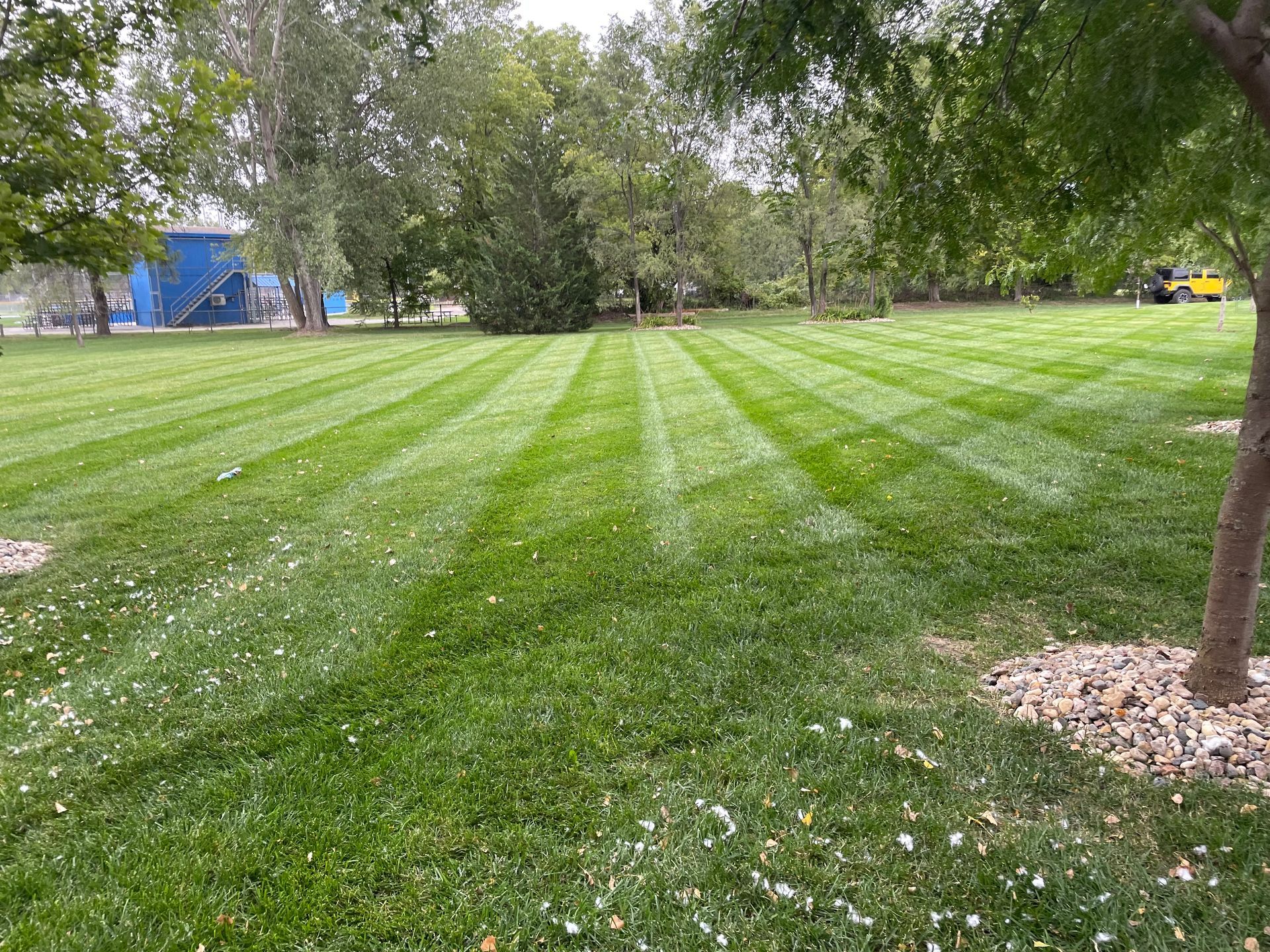 yard lawn mowing service