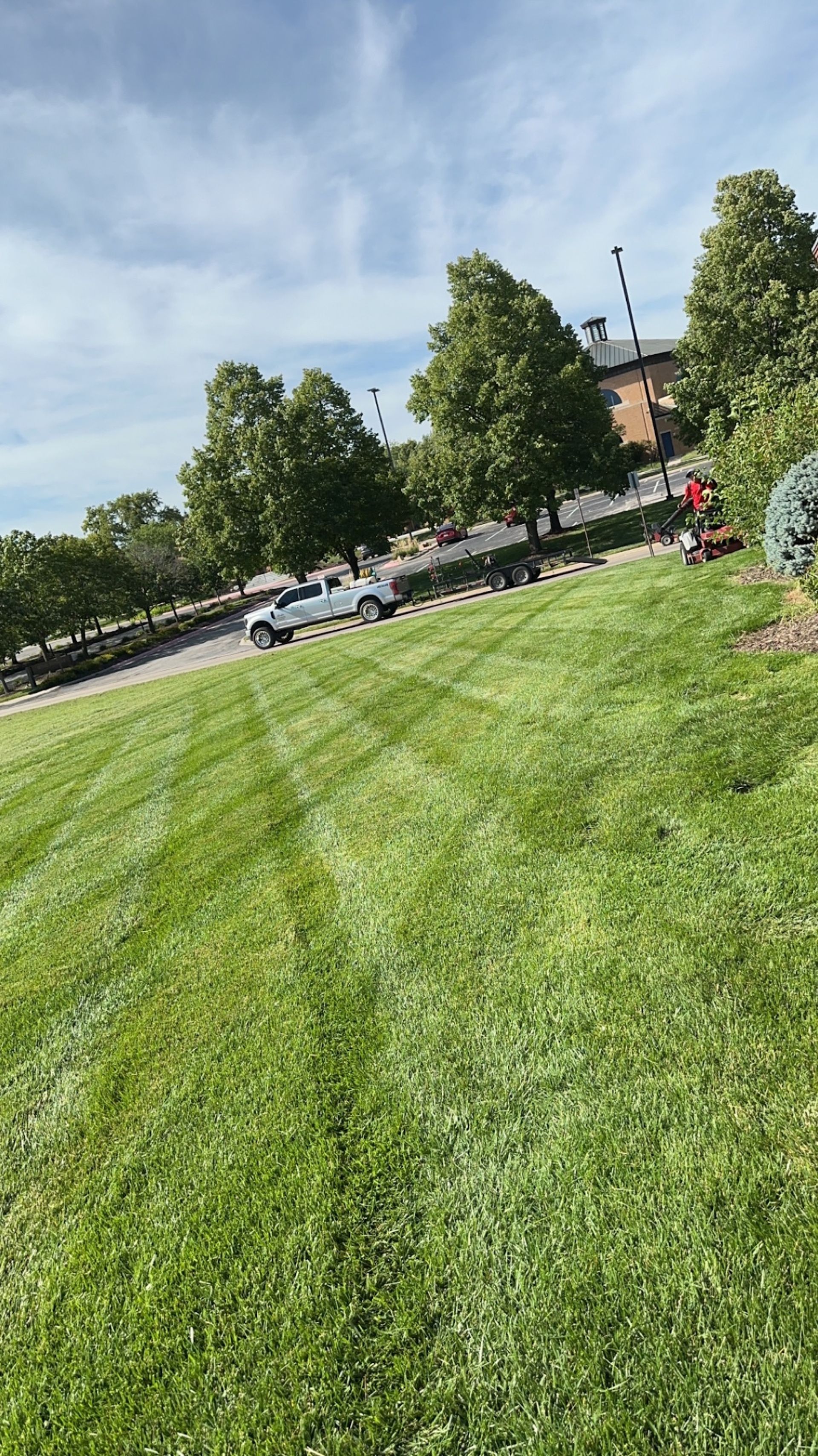 large lot mowing service