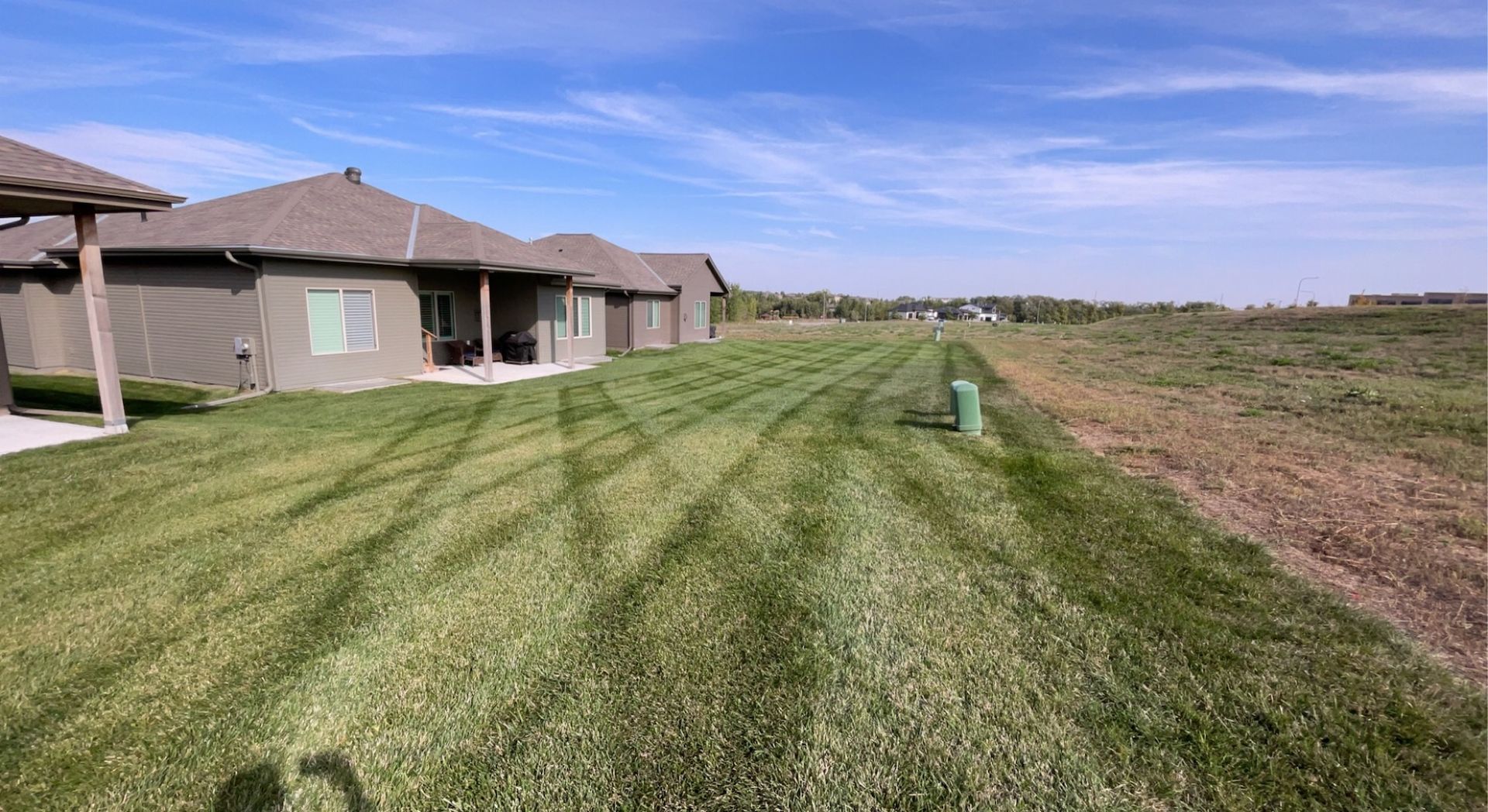 residential backyard mowing service