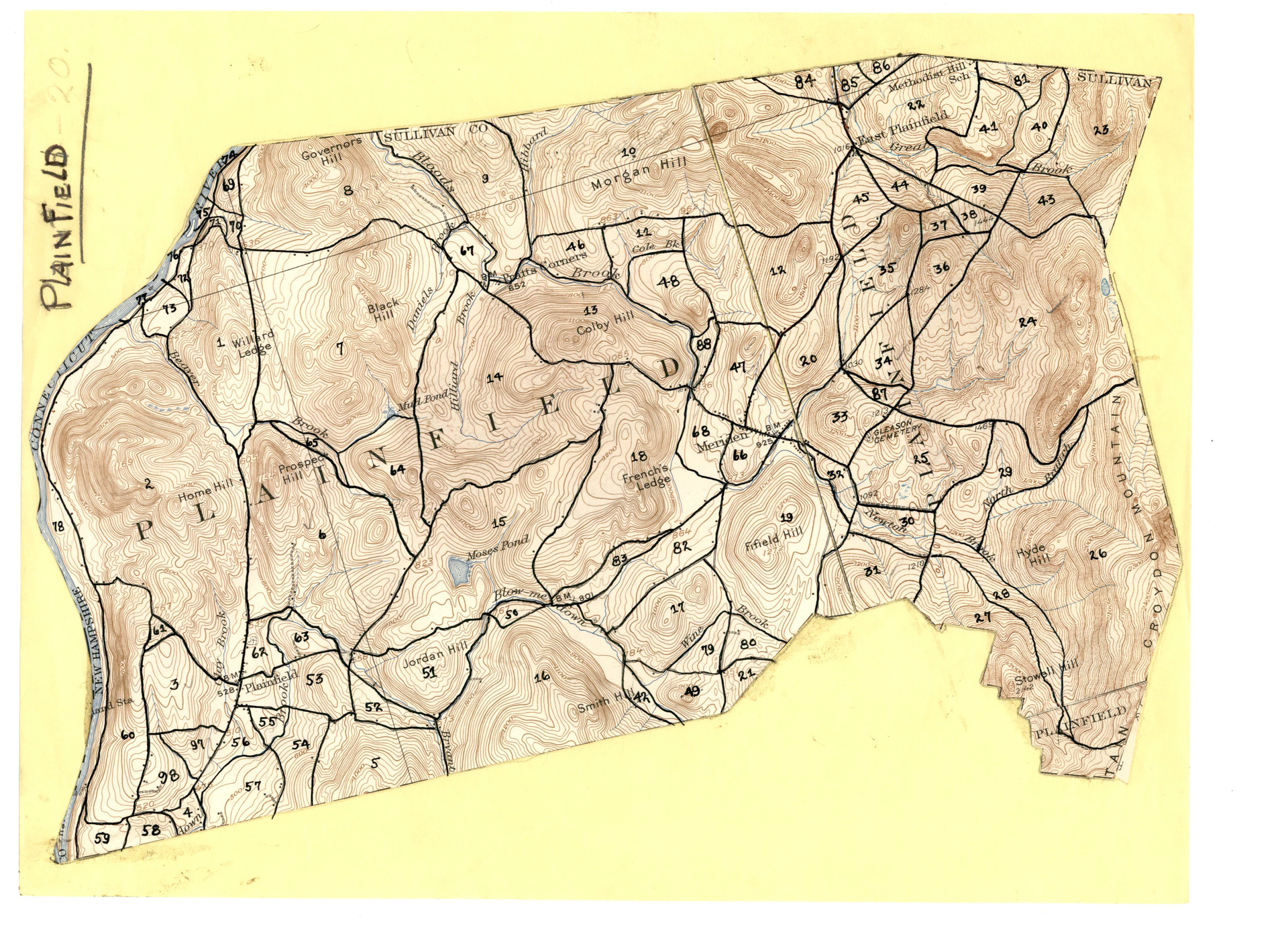 Topographic map of the Town of Plainfield, NH with Blister Rust study sections indicated.