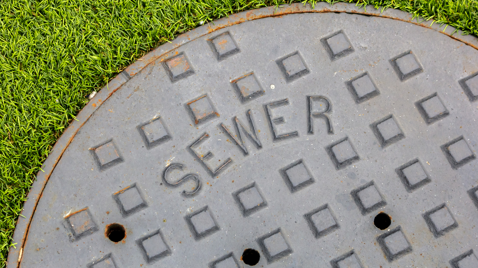 A picture of a sewer cover outside in the grass.