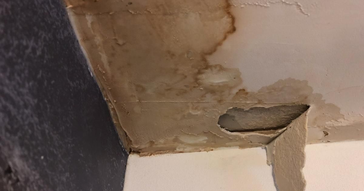 A pluming leak can cause a lot of damage. Plumbing services by Moe's Plumbing can help!