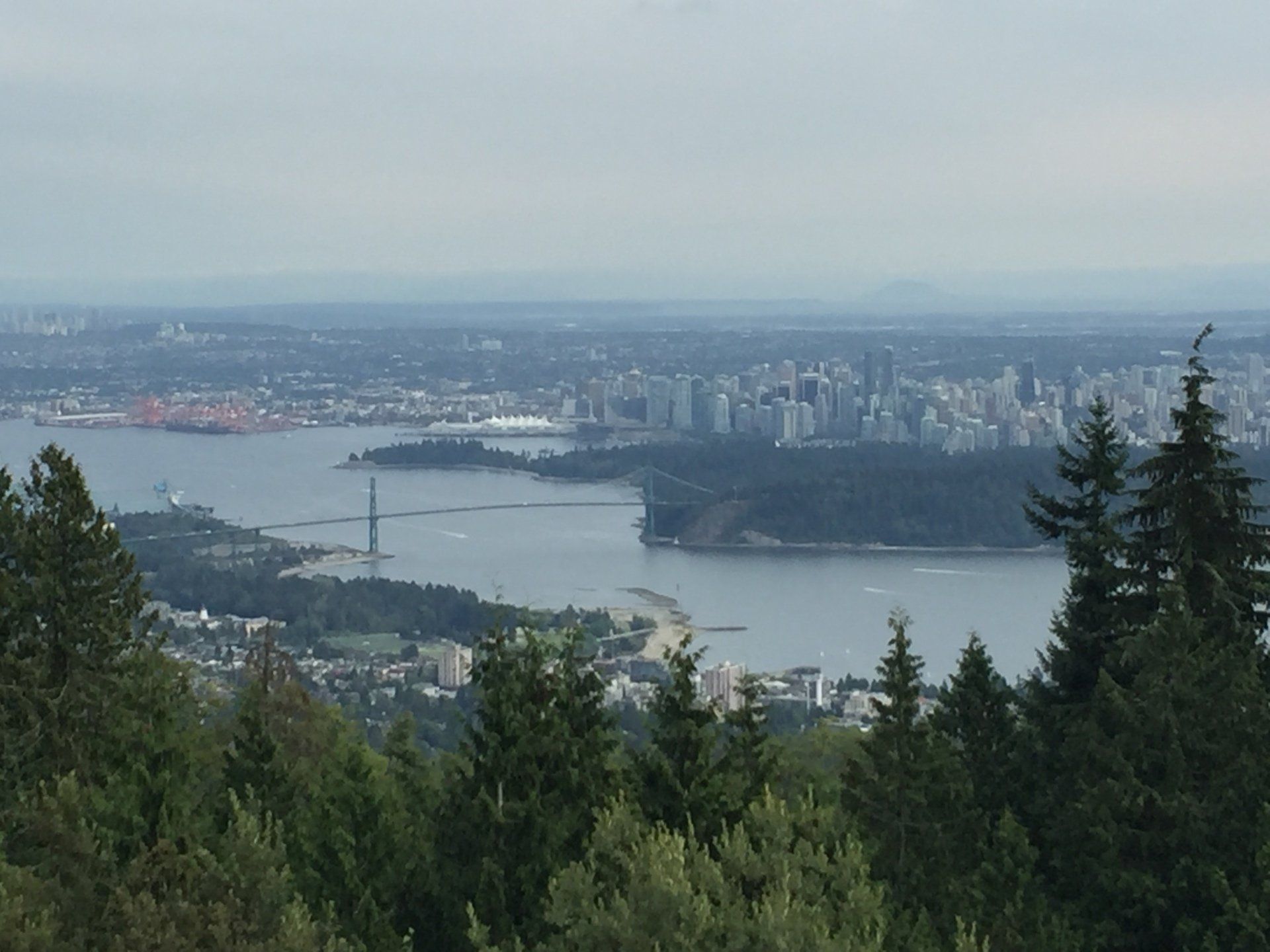 View of Vancouver, Canada, with a bridge, harbor, and city skyline from a forested hillside.