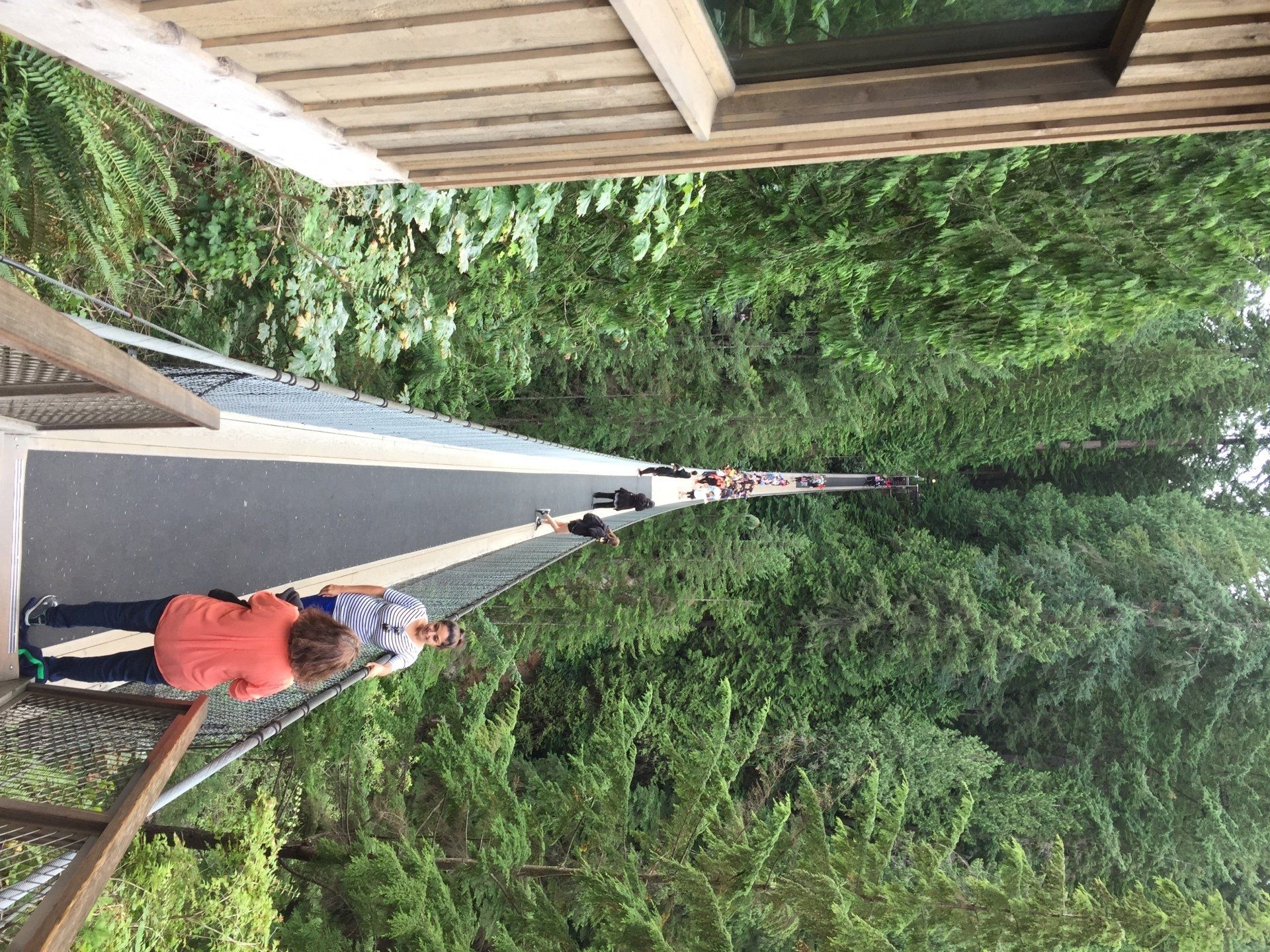 People walking on a suspension bridge in a forest, surrounded by green trees.