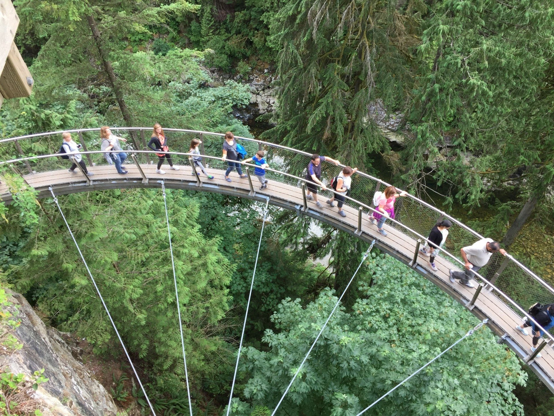 People walking on a curved wooden suspension bridge high above a green forest.