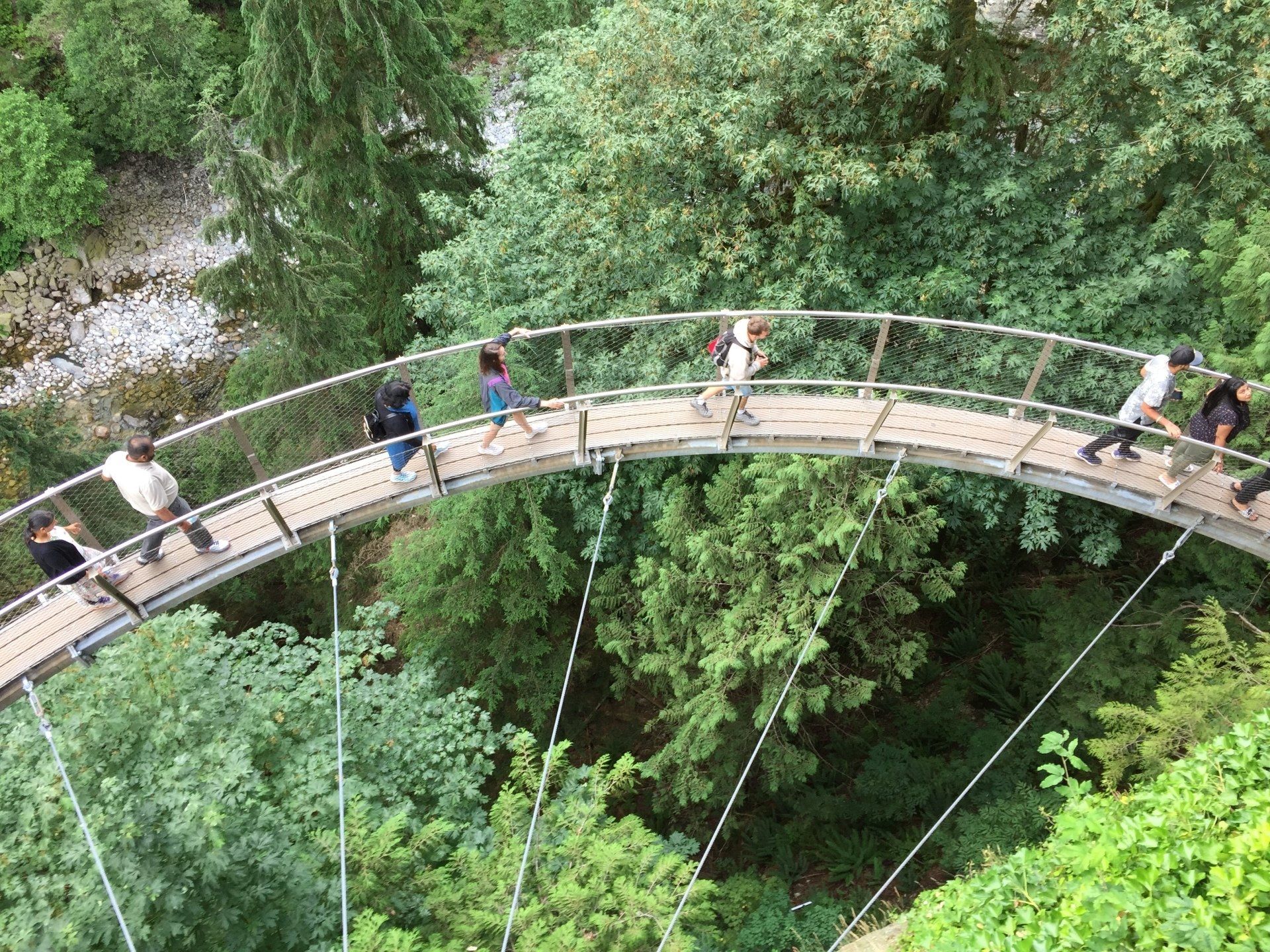 People walking across a curved suspension bridge over lush green trees, sunny day.
