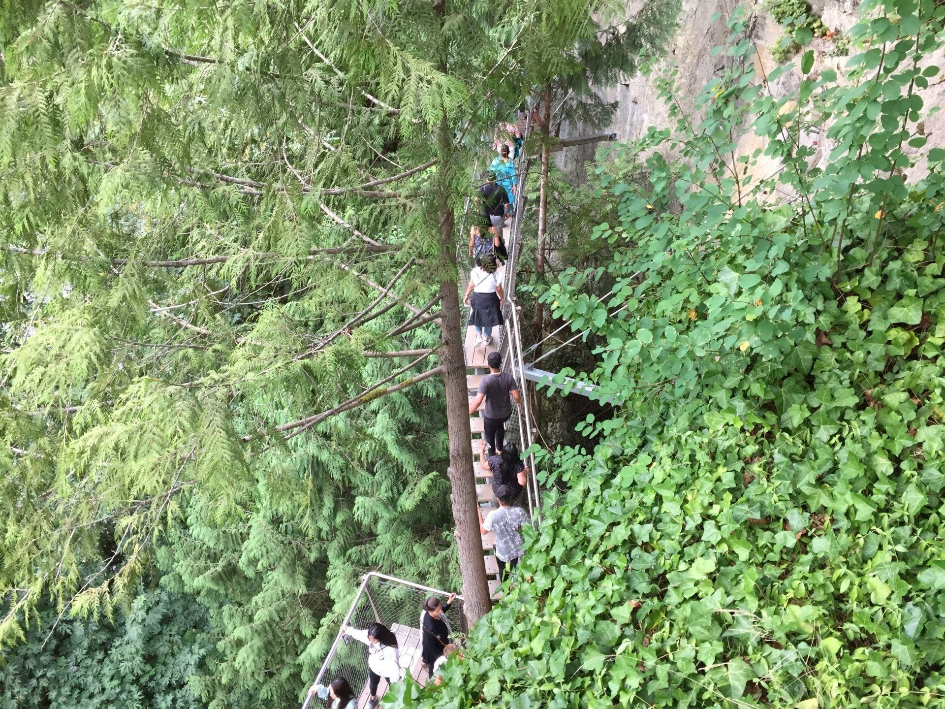 People walking on a narrow wooden bridge over a ravine, surrounded by lush green foliage.