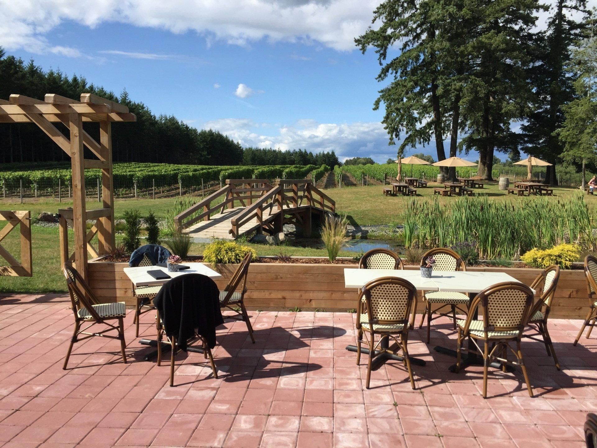 A patio with tables and chairs overlooks a vineyard with a small bridge and pond on a sunny day.