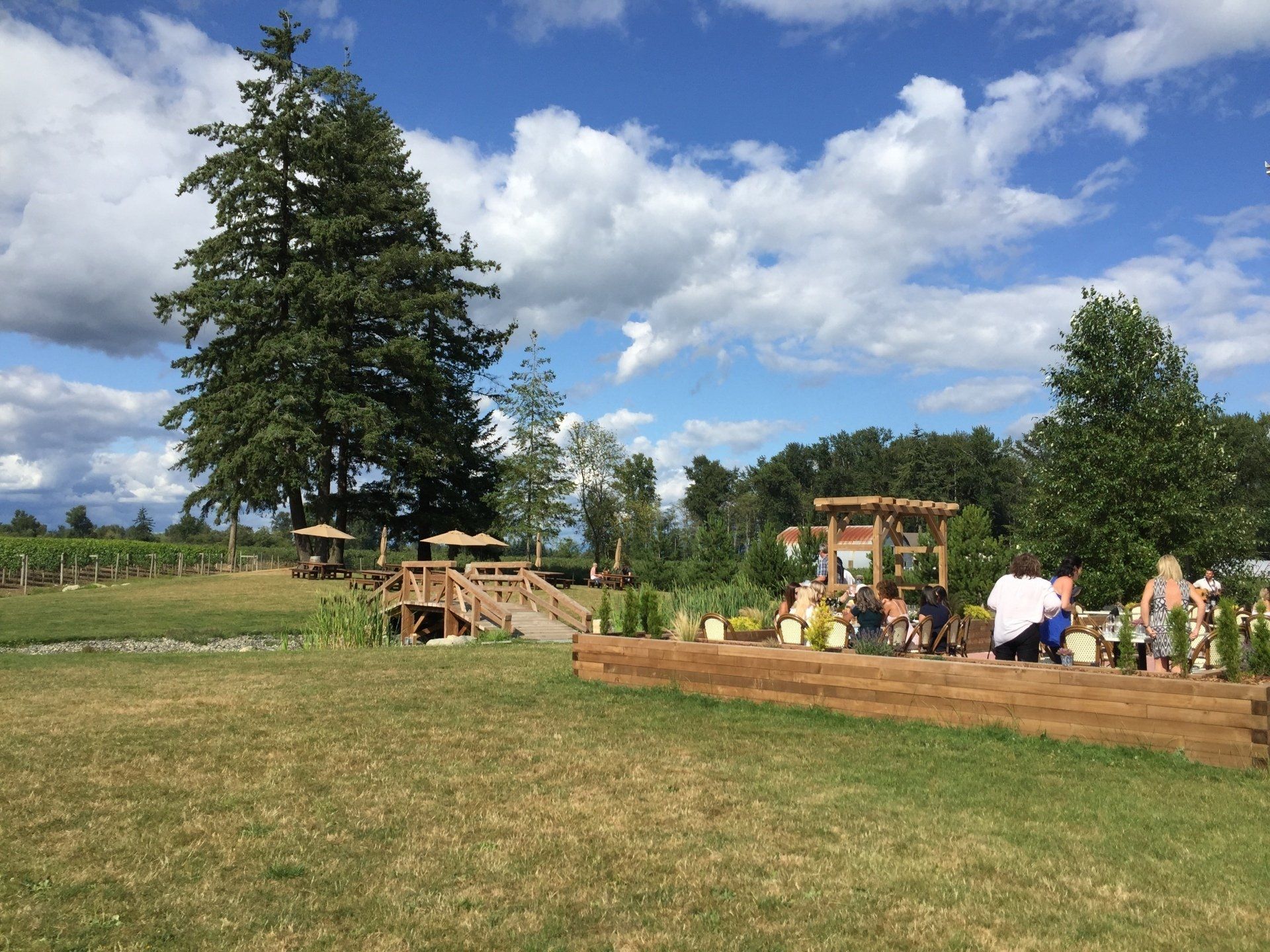 Wedding ceremony setting: A wooden stage with guests, bridge, gazebo, and tall trees under a blue sky.