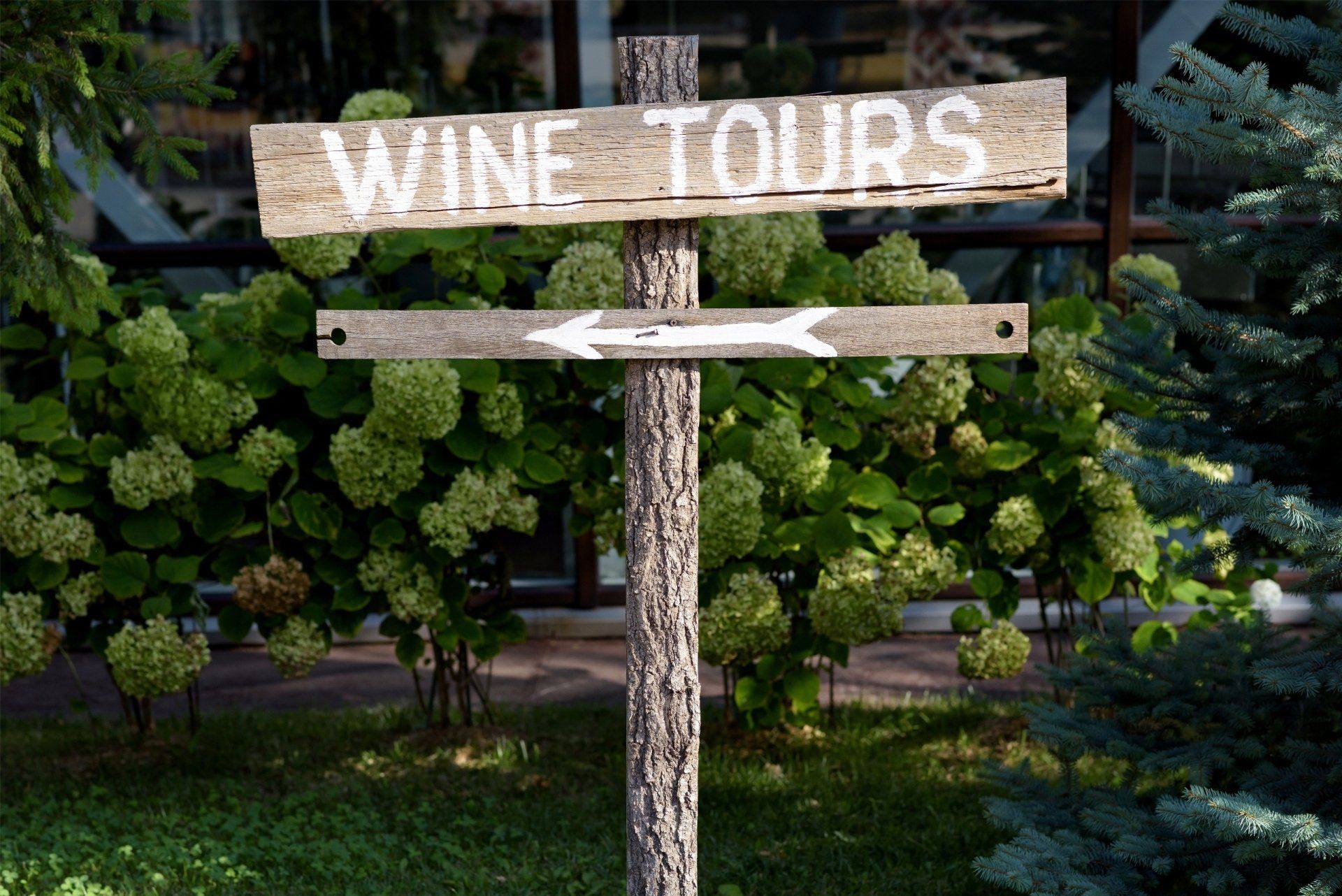 Wooden signpost for wine tours with arrow pointing left, in front of green bushes.