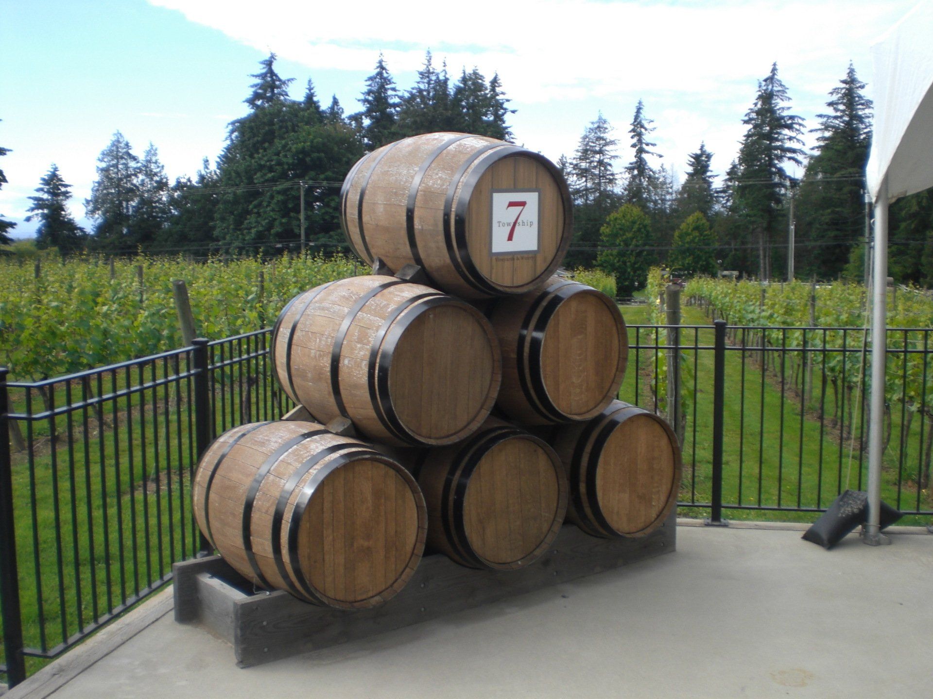 Wooden wine barrels stacked in front of a vineyard, with the number 7 visible.