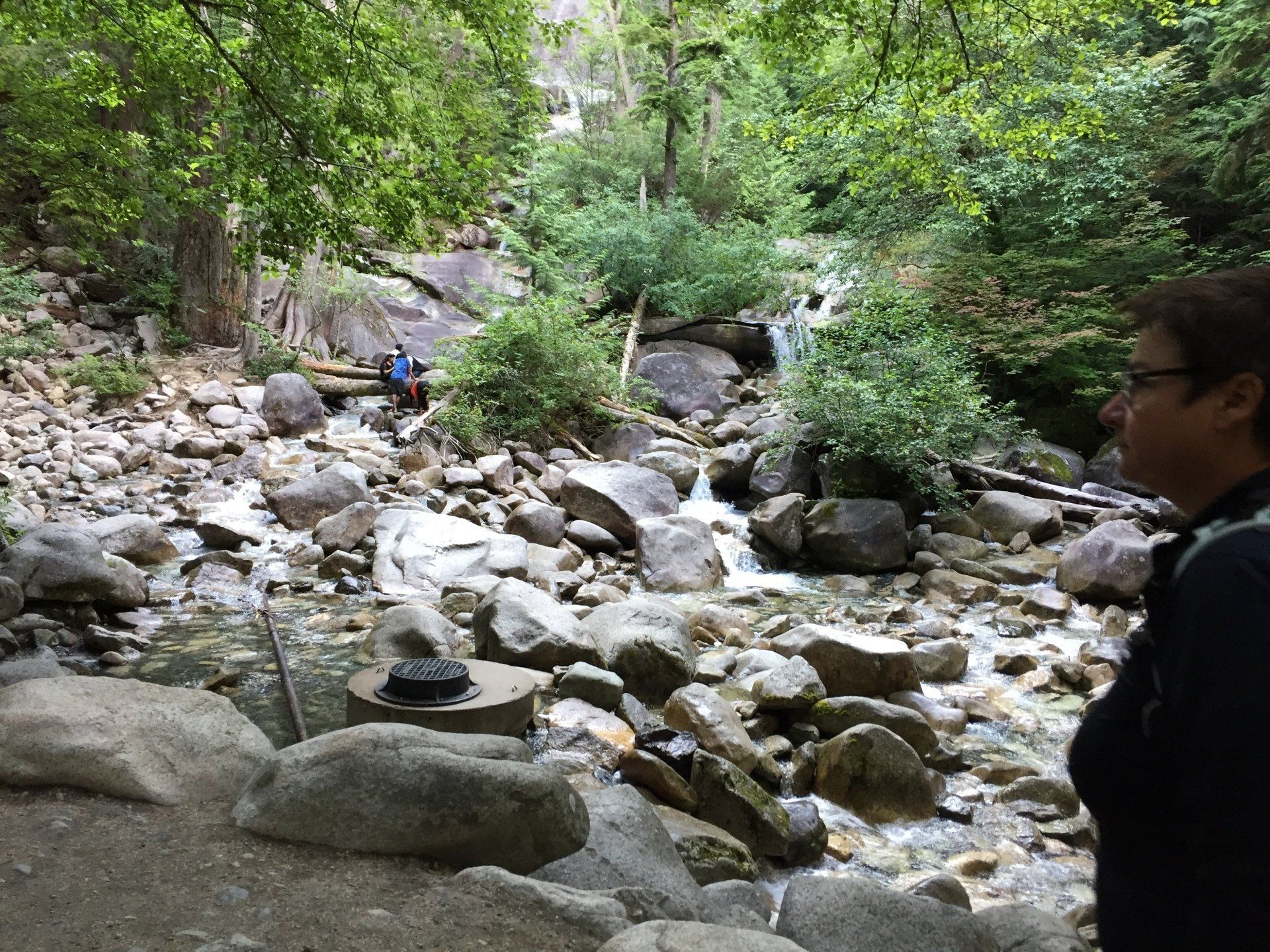 Person looking at a stream flowing through a rocky forest. Trees and bushes surround the water.